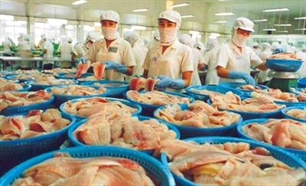 โครงการพัฒนาการส่งออกสัตว์น้ำจนถึงปี๒๐๑๕และแนวทางจนถึงปี๒๐๒๐