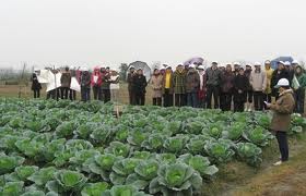 มาตรการต่างๆเพื่อปฏิบัติโครงการเป้าหมายแห่งชาติเกี่ยวกับชนบทใหม่