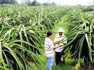 เวียดนามและมาเลเซียลงนามในบันทึกช่วยเกี่ยวกับความร่วมมือในการพัฒนาสหกรณ์
