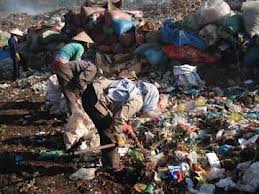 เวียดนามและโปแลนด์ขยายความร่วมมือในการอนุรักษ์สิ่งแวดล้อม