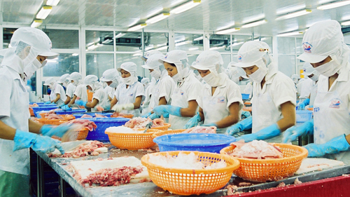 เวียดนามได้เปรียบดุลย์การค้า๒๐๐ล้านเหรียญสหรัฐในเดือนมกราคมปี๒๐๑๓