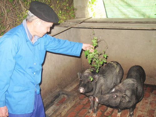 ที่พึ่งของผู้ยากจน