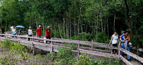 จังหวัดCà Mau รับมอบหนังสือรับรองเป็นพื้นที่ชุ่มน้ำโลกหรือเขตRamsarโลก