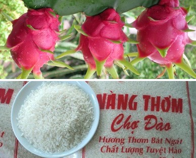 สหรัฐออกใบรับรองการคุ้มครองตราสินค้า“ข้าวหน่างเทิมเจอะด่าวและแก้วมังกรโจว์แถ่ง”