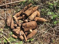 เวียดนามพยายามแก้ไขผลเสียหายจากกับระเบิดหลังสงคราม