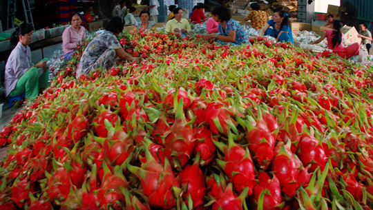 ขยายตลาดส่งออกผลิตภัณฑ์เกษตร