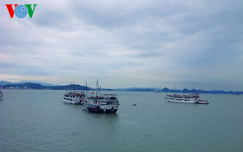 เปิดการประกวดภาพศิลปะเกี่ยวกับมรดกอ่าวฮาลอง