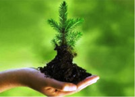 การประเมินผลกระทบจากสิ่งแวดล้อมและคำมั่นอนุรักษ์สิ่งแวดล้อม