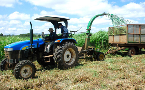 ความร่วมมือทวิภาคีเวียดนาม–ญี่ปุ่นในด้านการเกษตร