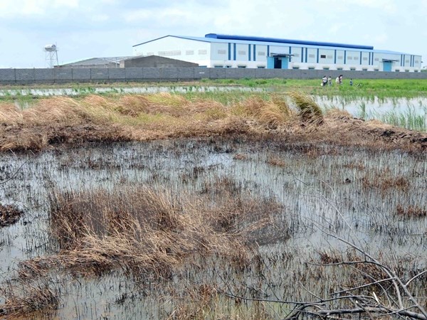 เวียดนามจัดงบประมาณ๑ล้านล้านด่งให้แก่การอนุรักษ์สิ่งแวดล้อม