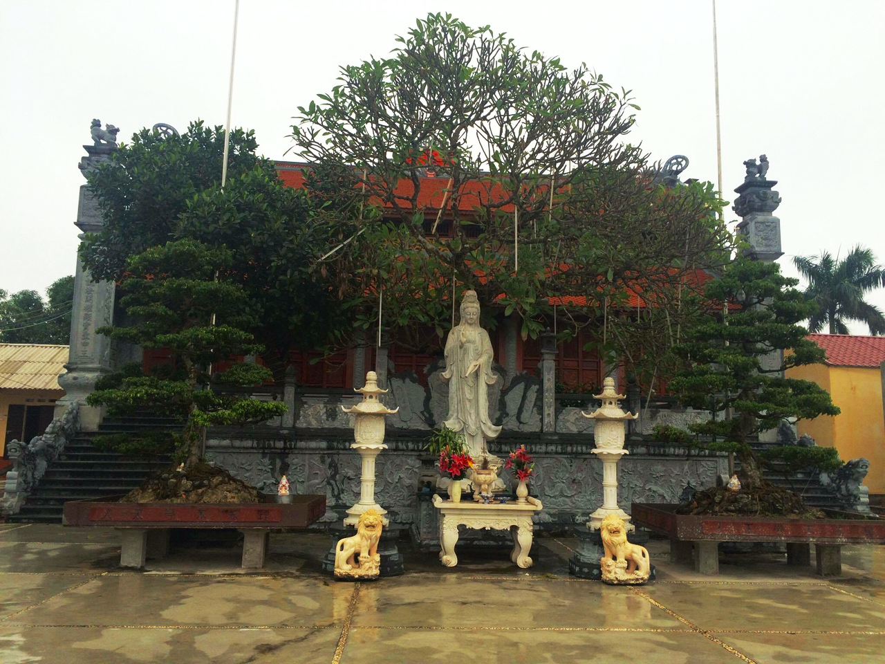KHUNG CẢNH THIÊN NHIÊN HÀI HÒA BAO QUANH CHÙA CƯƠNG XÁ