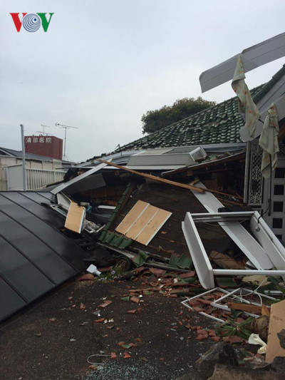 cong dong nguoi viet keu goi ho tro dong dat nhat ban hinh 2