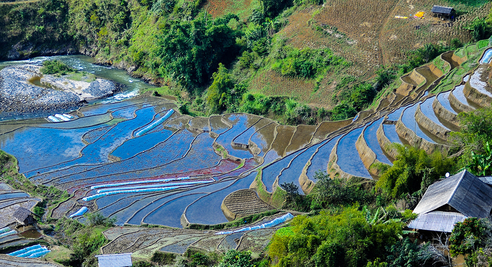 Mù Cang Chải mùa nước đổ.