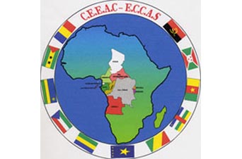 ទ្វីបអាហ្វ្រិកគប្បីបង្កើនកិច្ចសាហប្រតិបត្តិការអន្តរជាតិនិងដំបន់