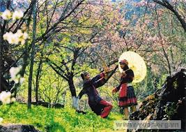 ទួរទេសចេណ៍គួរឲ្យទាក់ទាញក្នុងឱកាសតេតសកល២០១៣