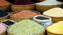 សក្តានុភាពនាំចេញកសិផលទៅទីផ្សារអ៊ឺរ៉ុប