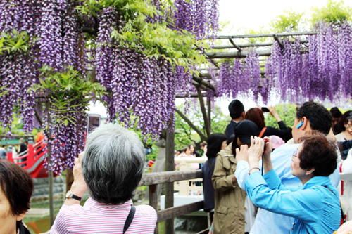 វៀតណាមសម្ភោគការិយាល័យដំណាងទេសចរណ៍ដើមដំបូង នៅបរទេស។