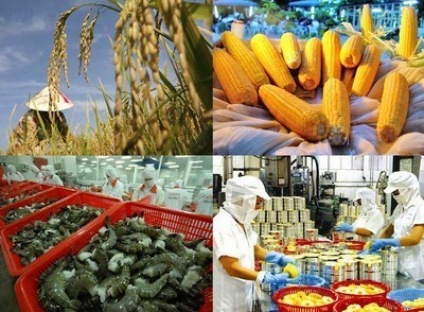 សារព័ត៍មានអាល្លឺម៉ង់វាយតំលៃខ្ពស់ចំពោះសមិទ្ធិអភិវឌ្ឍន៍សេដ្ឋកិច្ចរបស់វៀតណាម