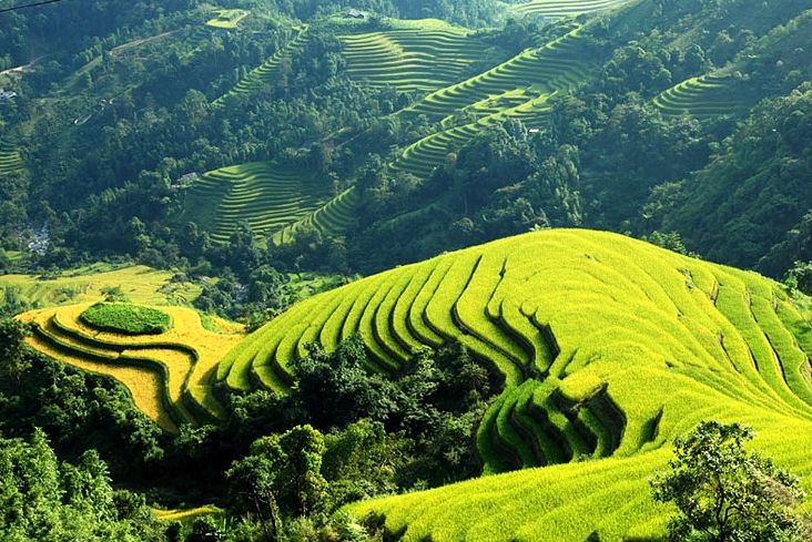 Sapa មិនឆ្ងាយទៀតទេ