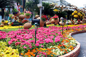 ទីក្រុងហូជីមិញ៖សម្រស់ចម្រុះពណ៌នៃផ្លូវផ្កា