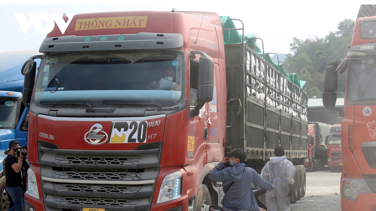 Lang Son facilite les exportations de fruits vers la Chine