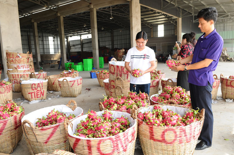 Produits agricoles: intensification des exportations formelles en Chine