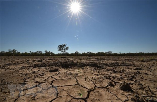 Agir contre le changement climatique: Initiatives pour inverser la tendance