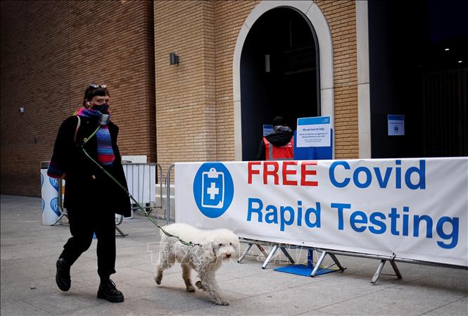 ВОЗ подтвердила возможность передачи коронавируса от человека животным