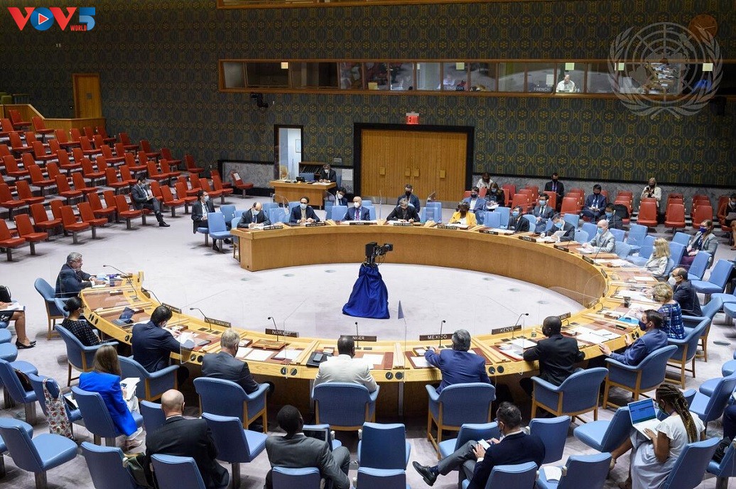 Вьетнам подчеркнул необходимость строгого выполнения Конвенции о запрещении химического оружия