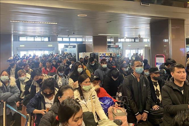 Более 4600 вьетнамцев эвакуировались из Украины в соседние страны