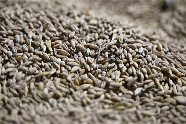 ООН открывает совместный коридор поставок продовольствия с Украины