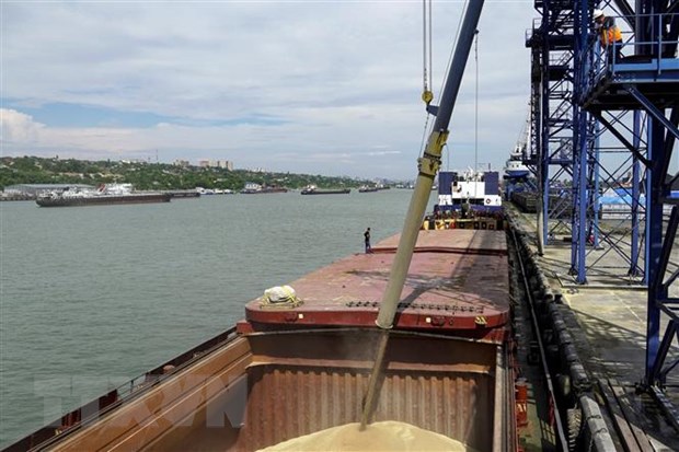 ООН и Россия обсудили экспорт зерна и удобрений