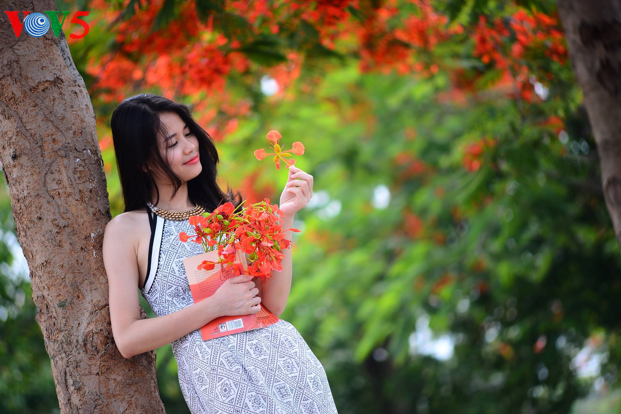 រដូវក្ដៅផ្ការីកស្គុះស្គាយនៅរដ្ឋធានីហាណូយ