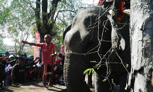 ទំនៀមទម្លាប់សែនដំរីរបស់ជនជាតិ M’nong នៅភូមិ Don