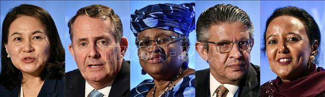 WTO សម្រេចជាស្ថាពរ ជុំទីមួយក្នុងការជ្រើសរើសអគ្គនាយកថ្មី