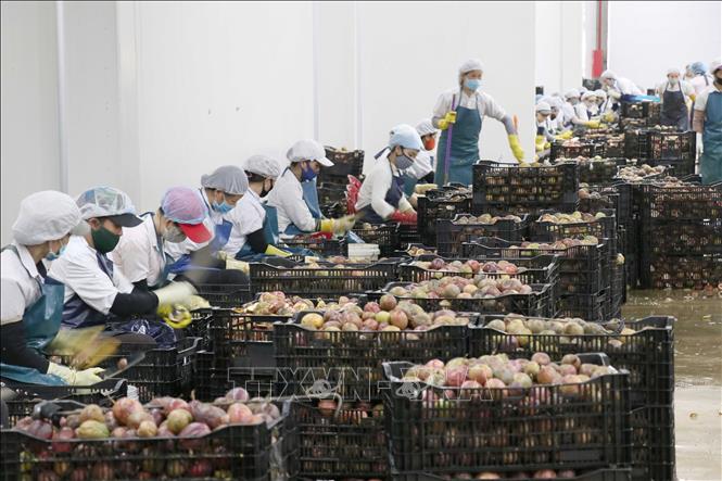 អ្នកប្រាជ្ញអូស្ត្រាលី៖ វៀតណាមមានគោលនយោបាយល្អ ដើម្បី​ធានាកំណើន​សេដ្ឋកិច្ចរយៈពេលវែង