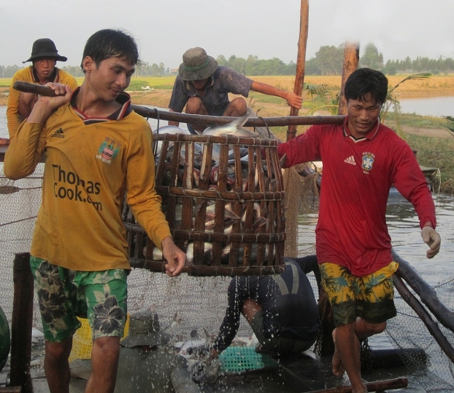 វៀតណាមកំពុងអនុវត្តន៍ កិច្ចព្រមព្រៀង EVFTA យ៉ាងល្អប្រសើរ