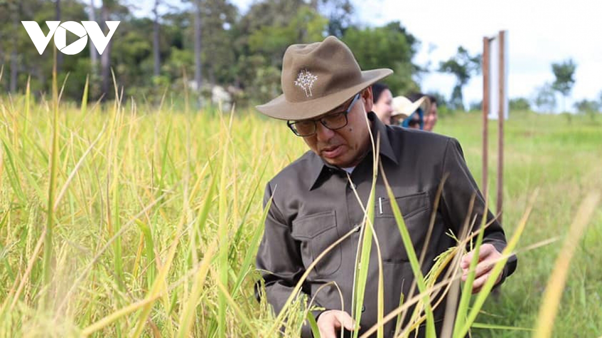 ការនាំចេញអង្កររបស់កម្ពុជាកើនឡើងយ៉ាងខ្លាំងក្នុងឆ្នាំ២០២០