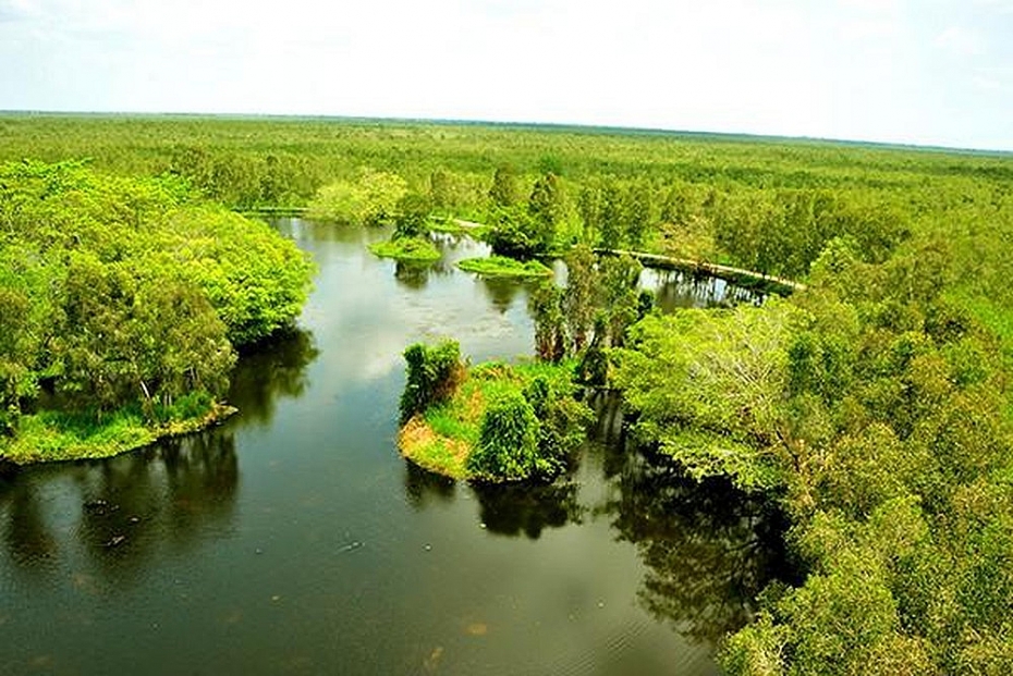ទិវាបរិស្ថានពិភពលោក ទី៥ មិថុនា៖ វៀតណាម្ចាស់ការឈានចូល ទសវត្សរ៍នៃការស្ដារប្រព័ន្ធអេកូឡូស៊ី