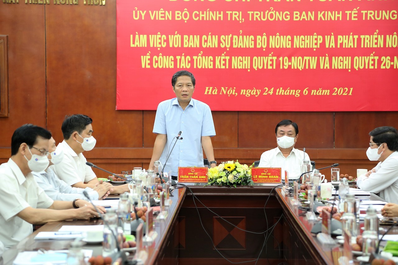 ជំរុញកសិកម្ម សេដ្ឋកិច្ច-សង្គមជនបទ អភិវឌ្ឍន៍យ៉ាងឆាប់រហ័សប្រកបដោយចីរភាព