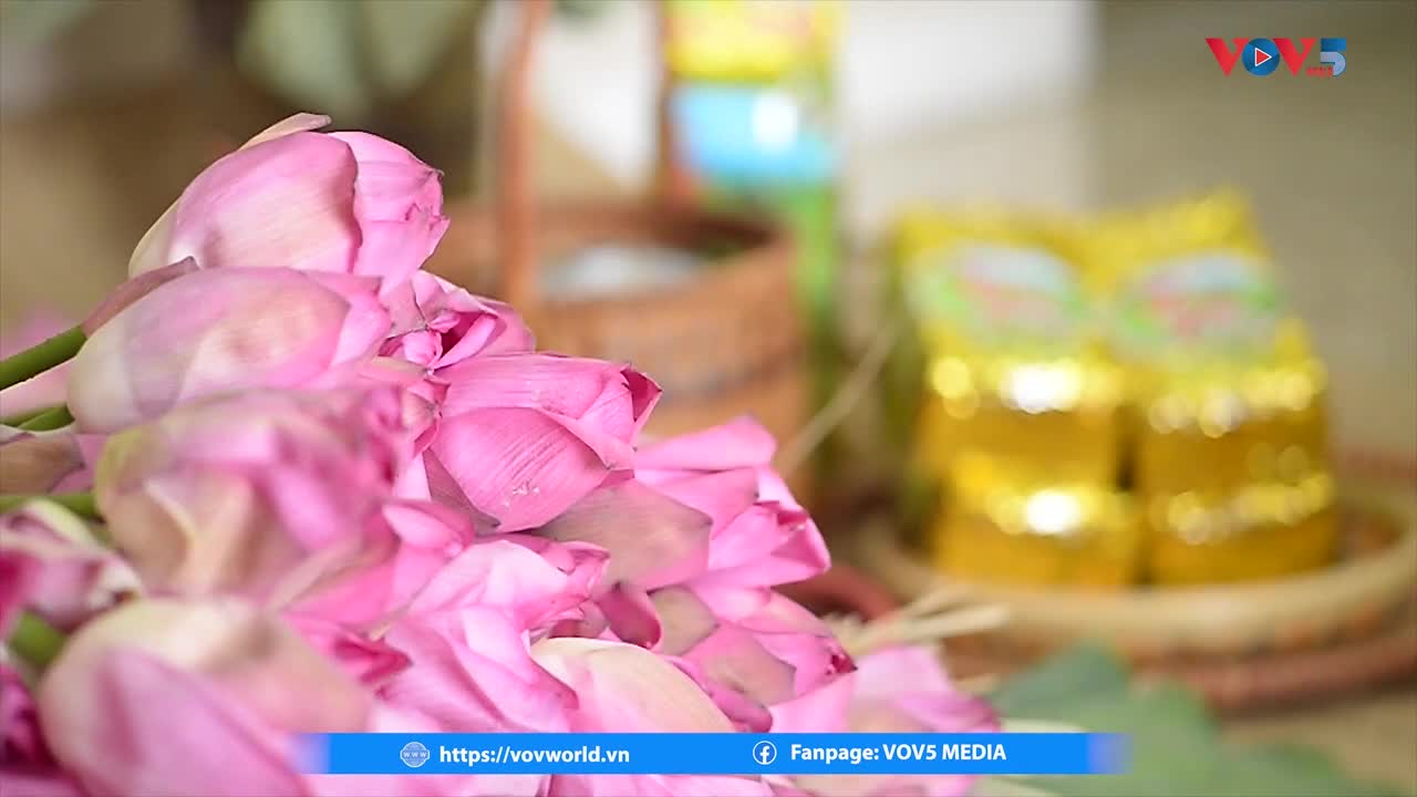 តែផ្កាឈូក “xoi”  - រសជាតិពិសេសដោយឡែករបស់ហាណូយ