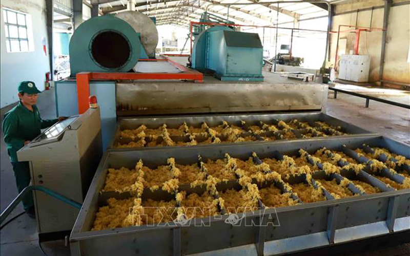 ទំនិញវៀតណាមមានសក្ដានុពលជាច្រើន សម្រាប់នាំចេញទៅកាន់ទីផ្សារសហពន្ធរុស្ស៊ី