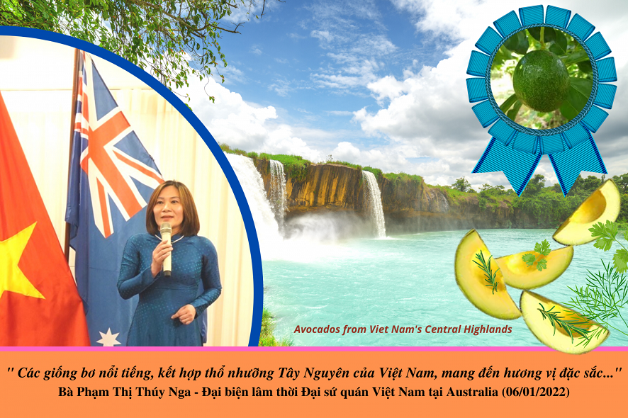 ផ្លែបឺរវៀតណាមមានវត្តមានជាផ្លូវការនៅទីផ្សារអូស្ត្រាលី