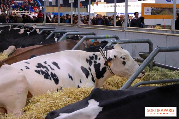 ពិព័រណ៍កសិកម្មអន្តរជាតិបារាំង-ឱកាសសហប្រតិបត្តិការសម្រាប់វៀតណាម