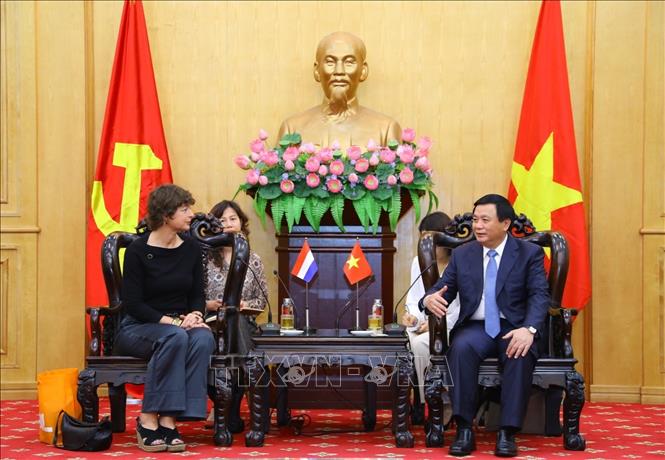 ពង្រឹងកិច្ចសហប្រតិបត្តិការរវាងបណ្ឌិត្យសភានយោបាយជាតិហូជីមិញ ជាមួយប្រទេសហូឡង់និងម៉ូសំប៊ិក