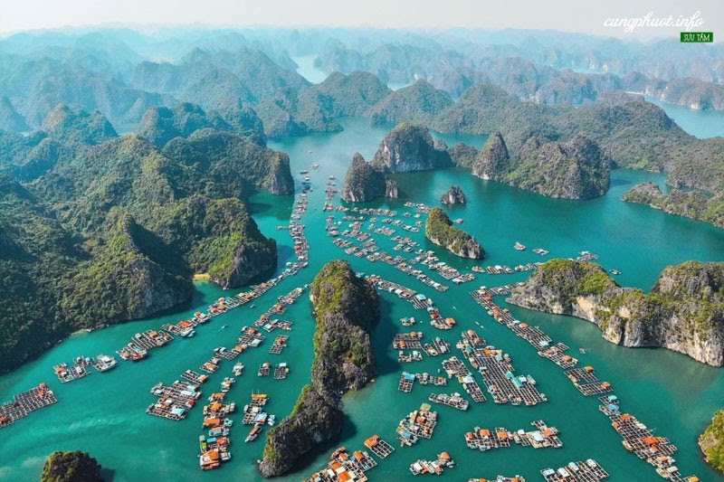 ហូលីវូដជ្រើសរើស Cat Ba ជាកន្លែងសម្រាប់គម្រោងភាពយន្តថ្មី