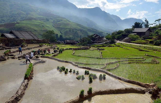 ໄຂງານວາງສະແດງຮູບຖ່າຍກ່ຽວກັບຫວຽດນາມຢູ່ອັກຊັງຕີນ