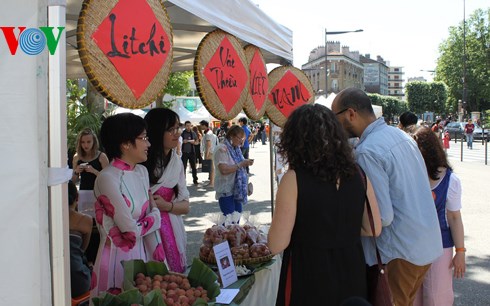 ວັນບຸນມິດຕະພາບແລະສາມັກຄີກັບຫວຽດນາມຢູ່ຝຣັ່ງ