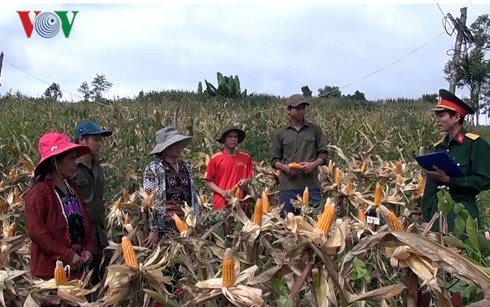 ຫວຽດນາມມານະພະຍາຍາມປະຕິບັດບັນດາມາດຕະການຫລຸດຜ່ອນຄວາມທຸກຍາກຢ່າງໝັ້ນຄົງ