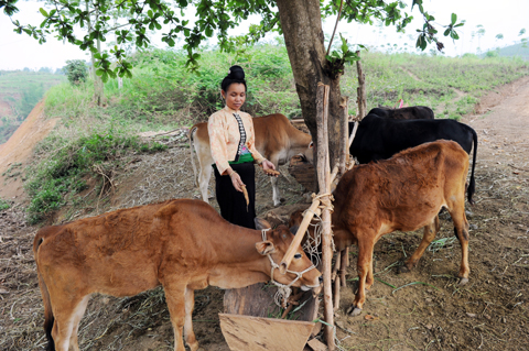 ບຸລິມະສິດການລົງທຶນພັດທະນາເສດຖະກິດ-ສັງຄົມເຂດຊົນເຜົ່າແລະເຂດພູ ດອຍ